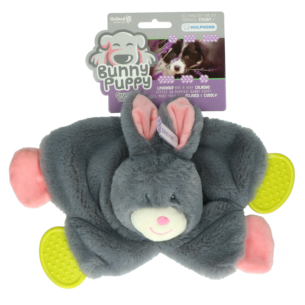 Bunny Puppy