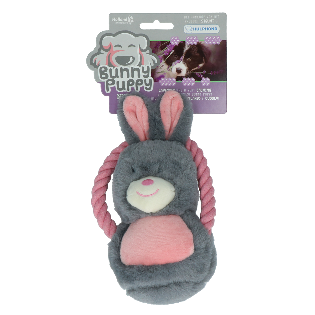 Bunny Puppy