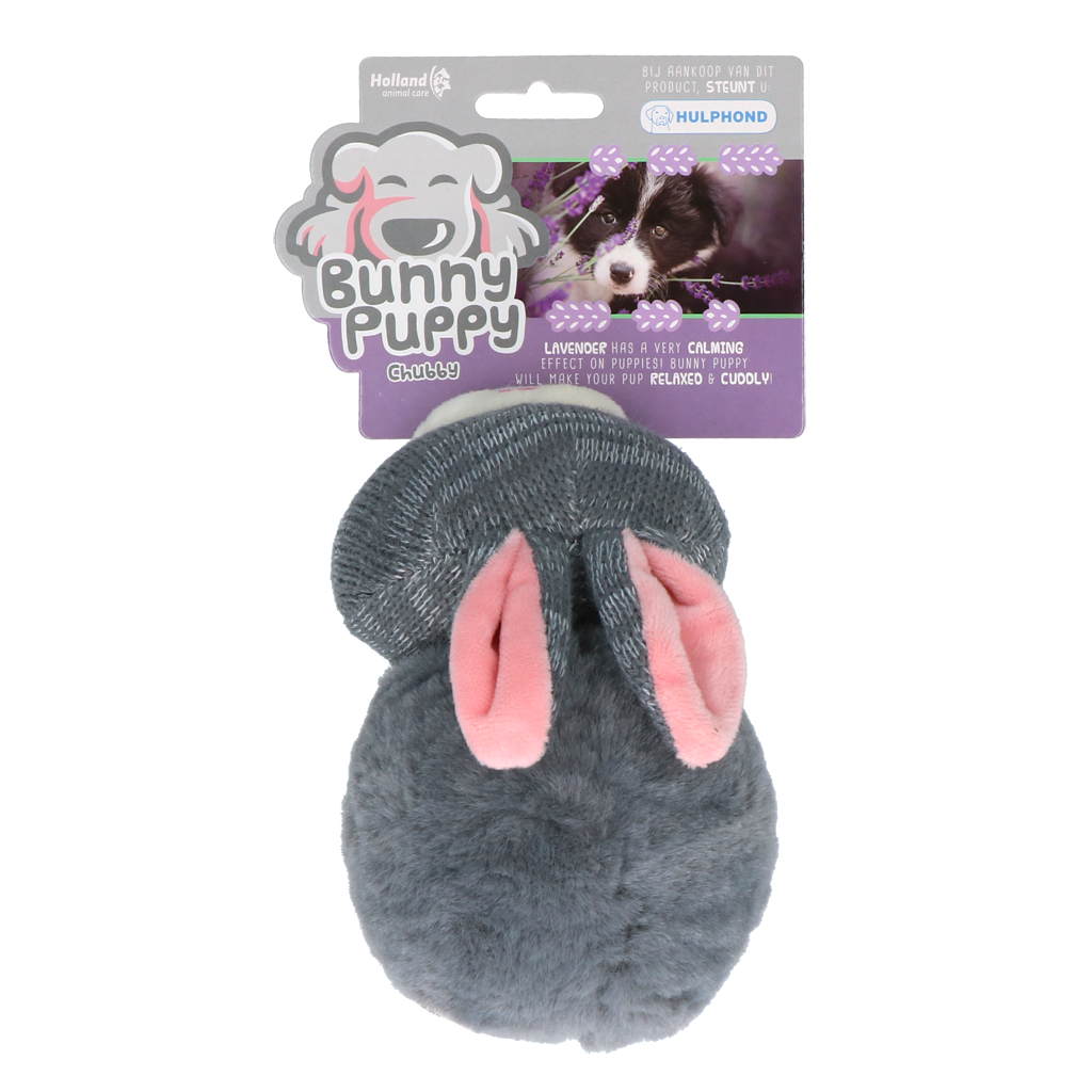 Bunny Puppy