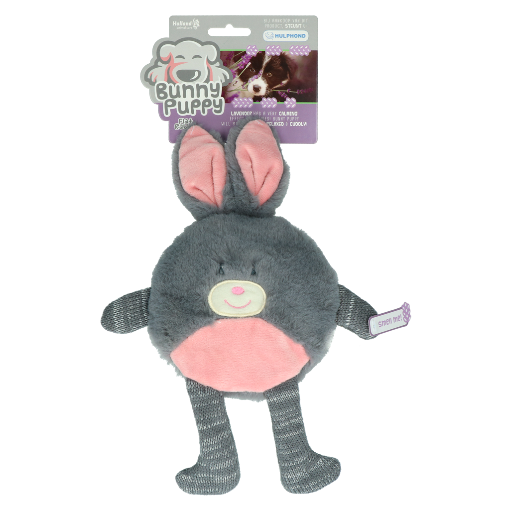 Bunny Puppy