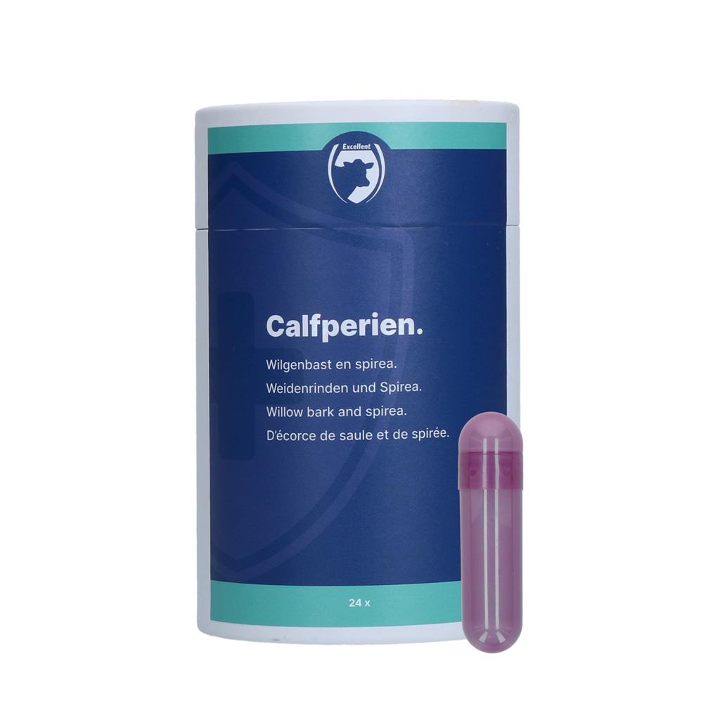 Excellent Calfperien