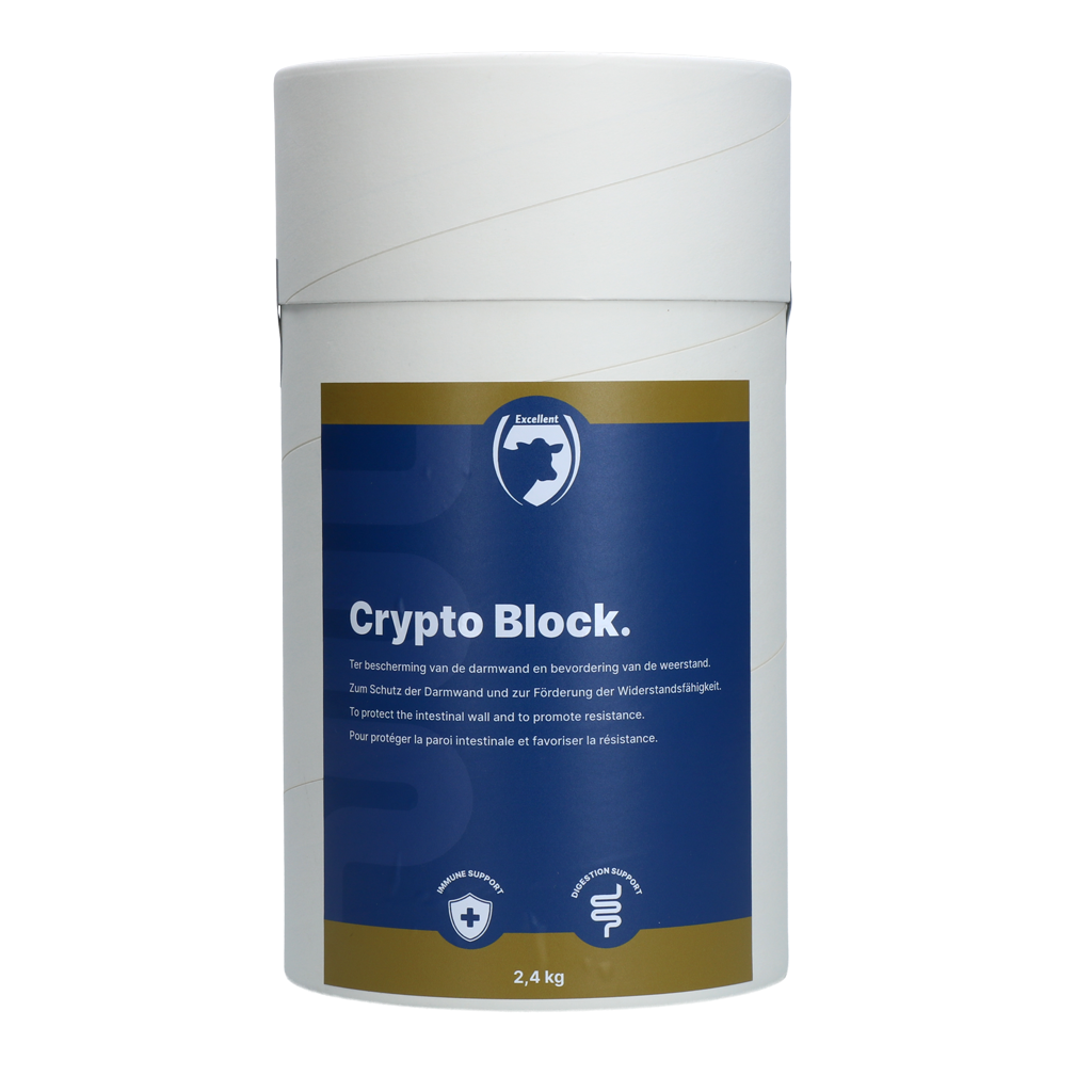Excellent Crypto Block