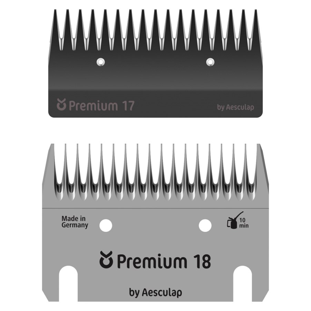 Constanta 3 Messenset