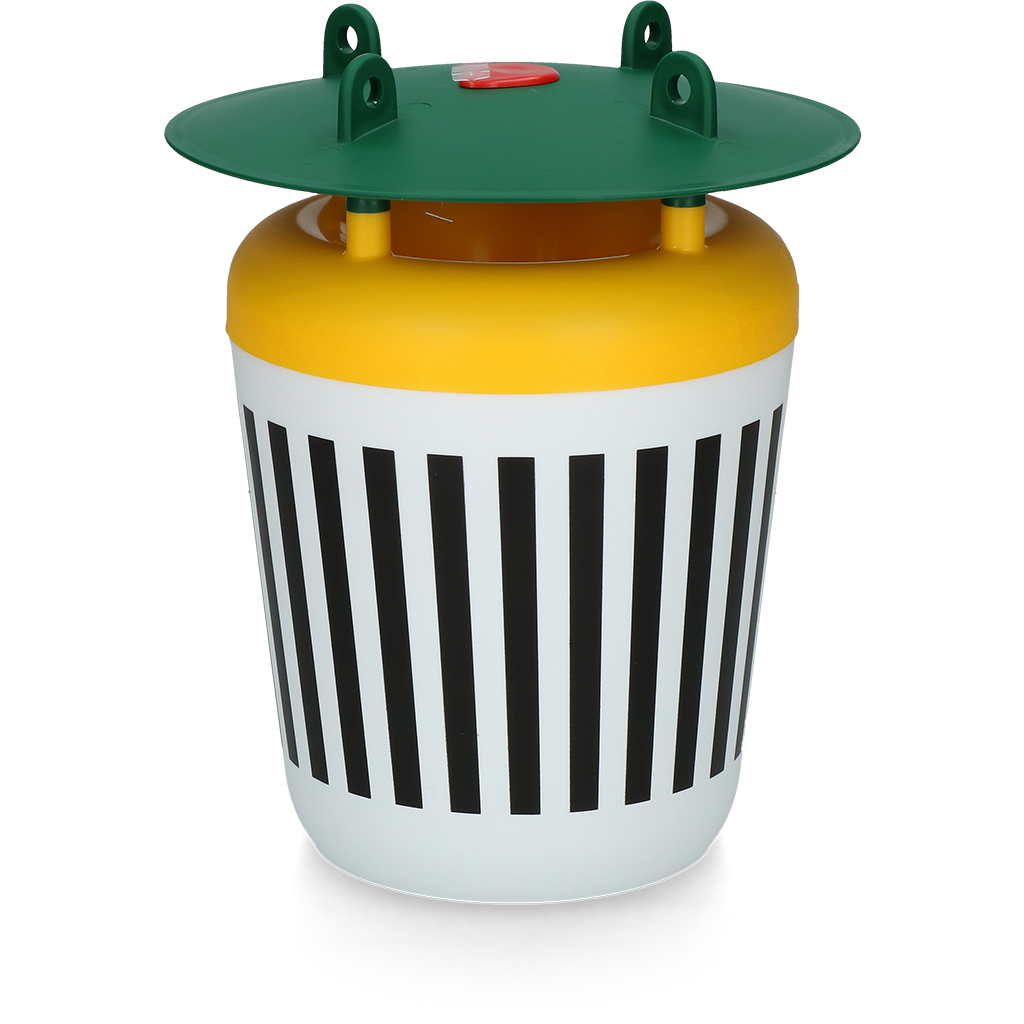 Black Stripe Mottenval