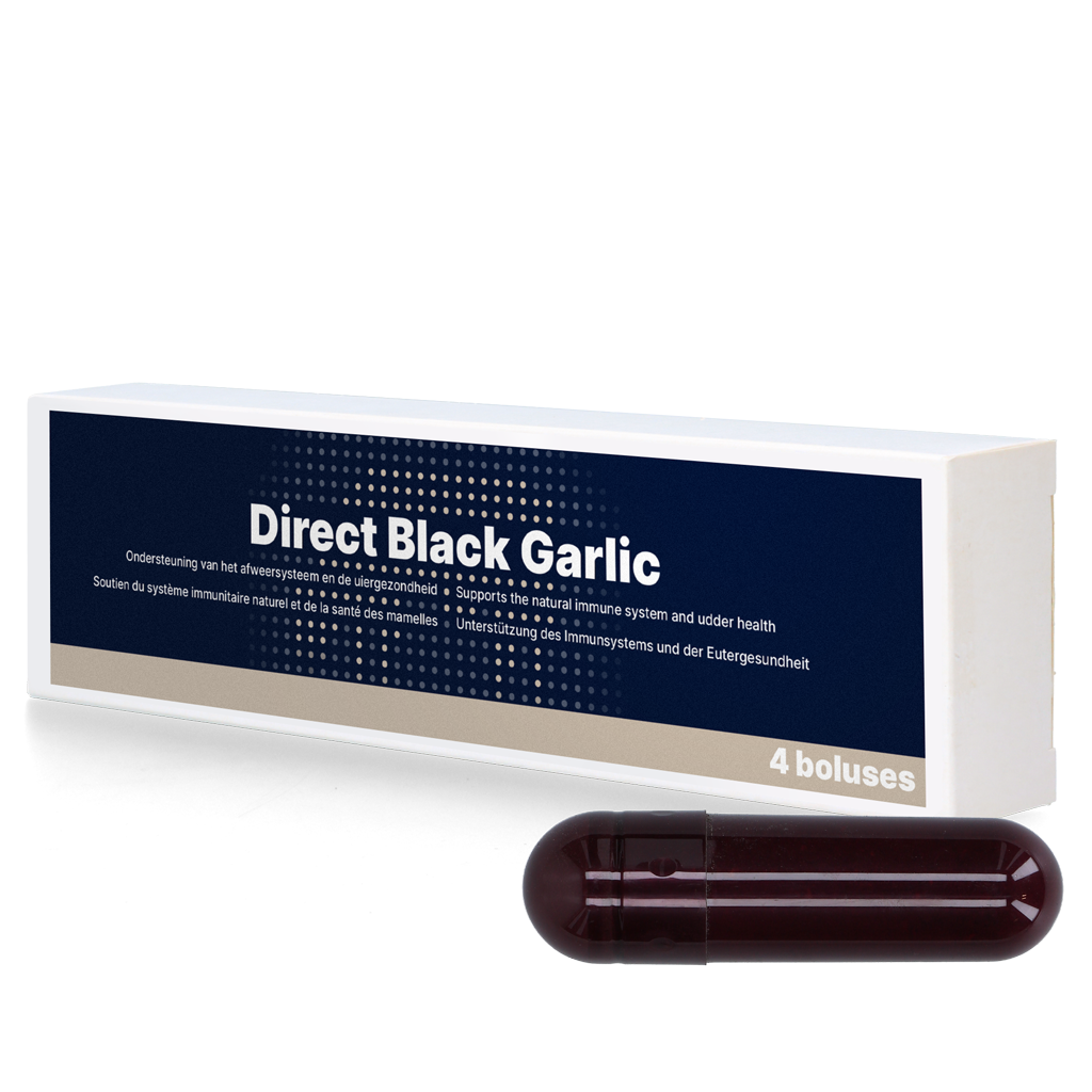 Direct Black Garlic