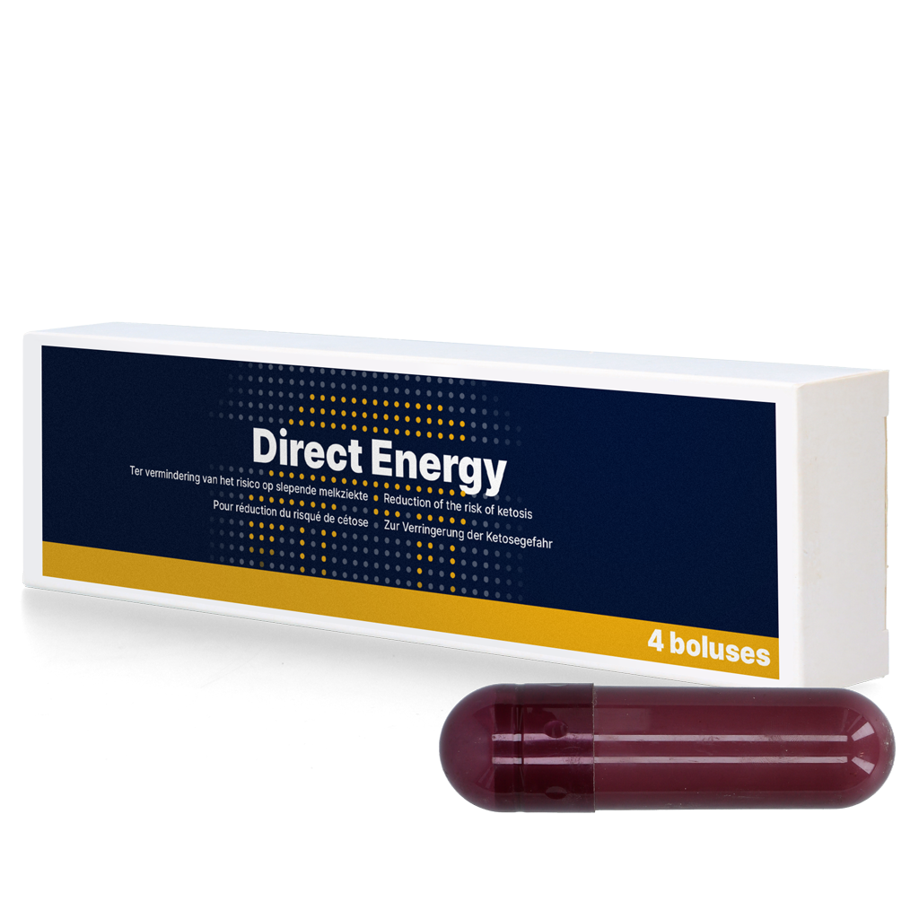 Direct Energy