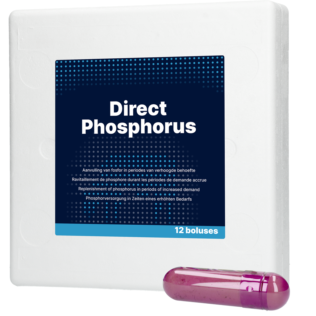 Direct Phosphorus