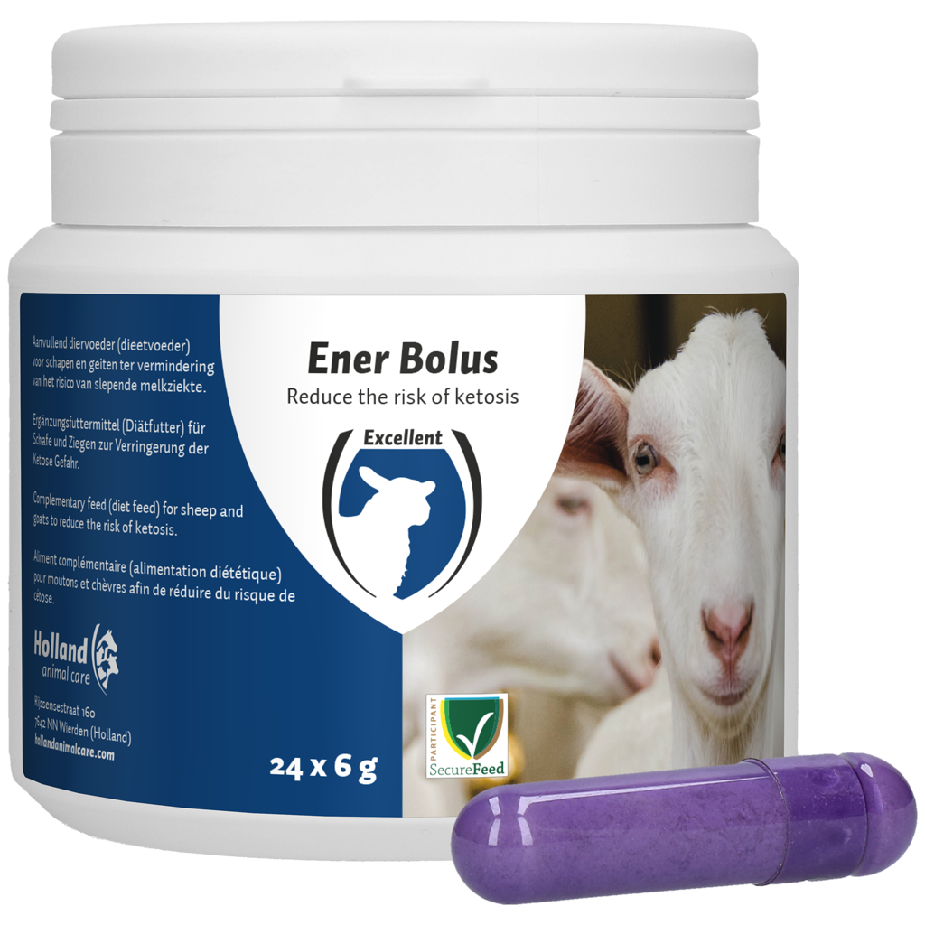 Excellent Ener Bolus Schaap & Geit