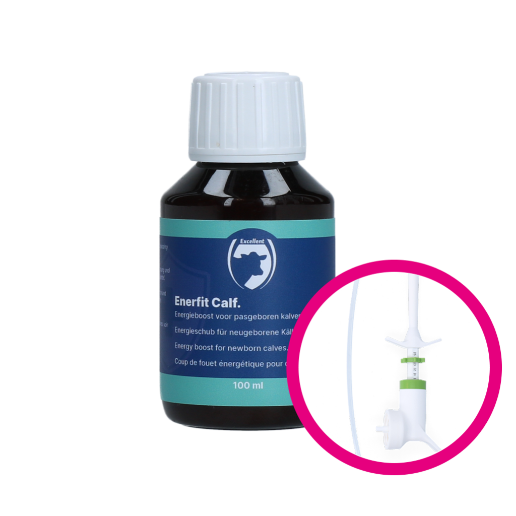 Excellent Enerfit Kalf / Big