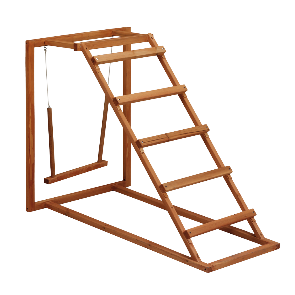 Gaun Chicken Activity Center