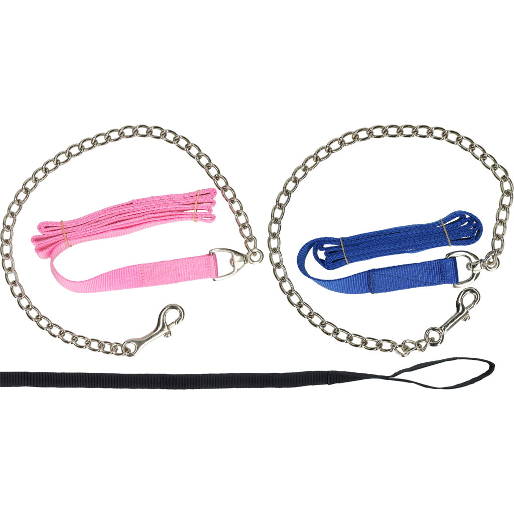 Geleidelijn met ketting zwart 250cm