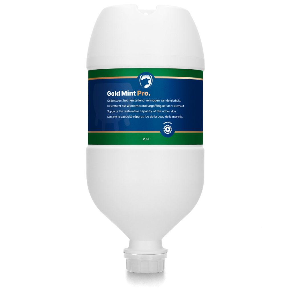 Excellent Gold Mint Pro