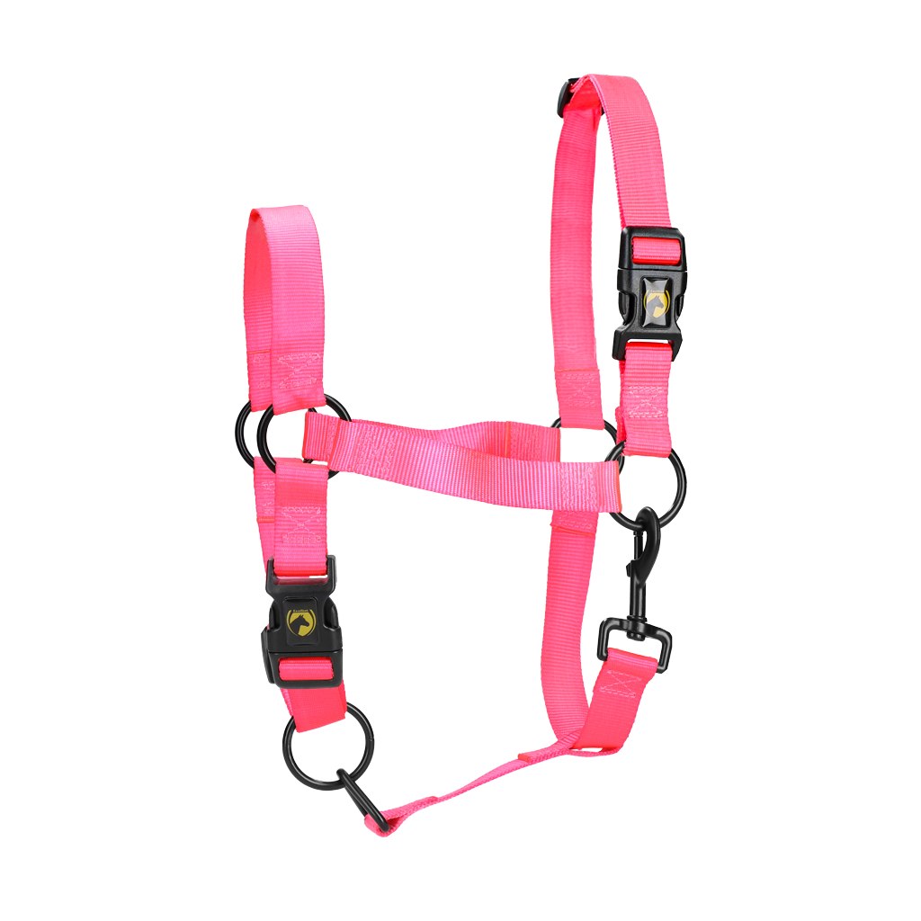 Excellent Essential Halster