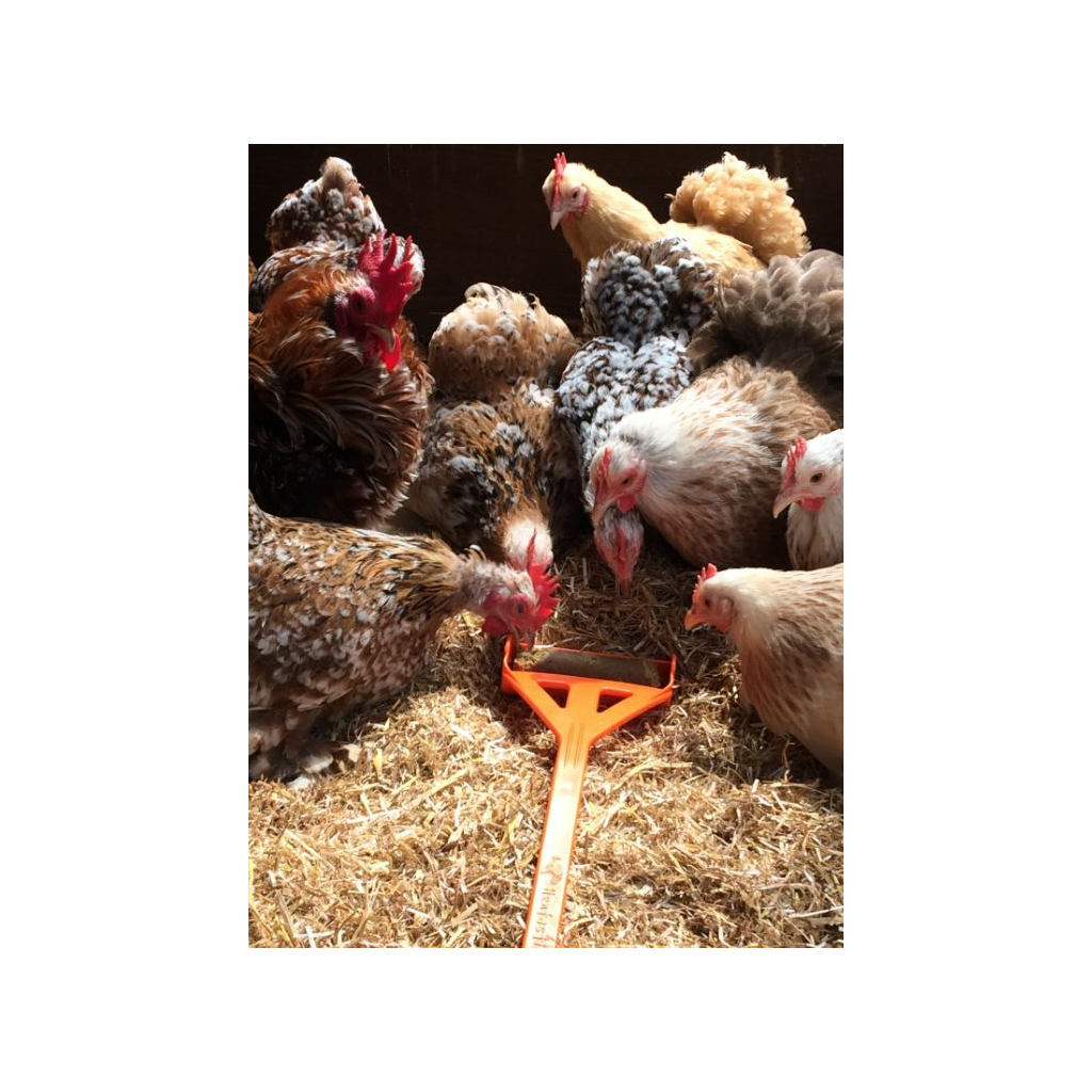 Hentastic Fun Feeder