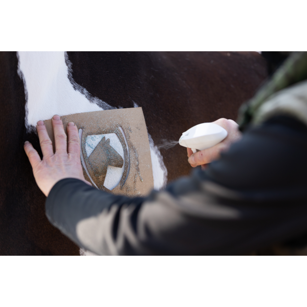 Excellent Horse Hi Gloss Glitter Spray