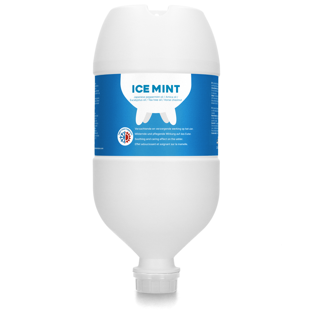 Ice Mint Gel