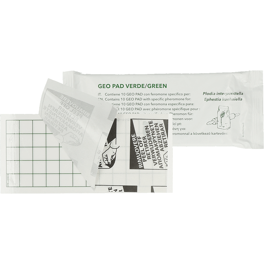 Geo Lijmplaat Levensmiddelenmot