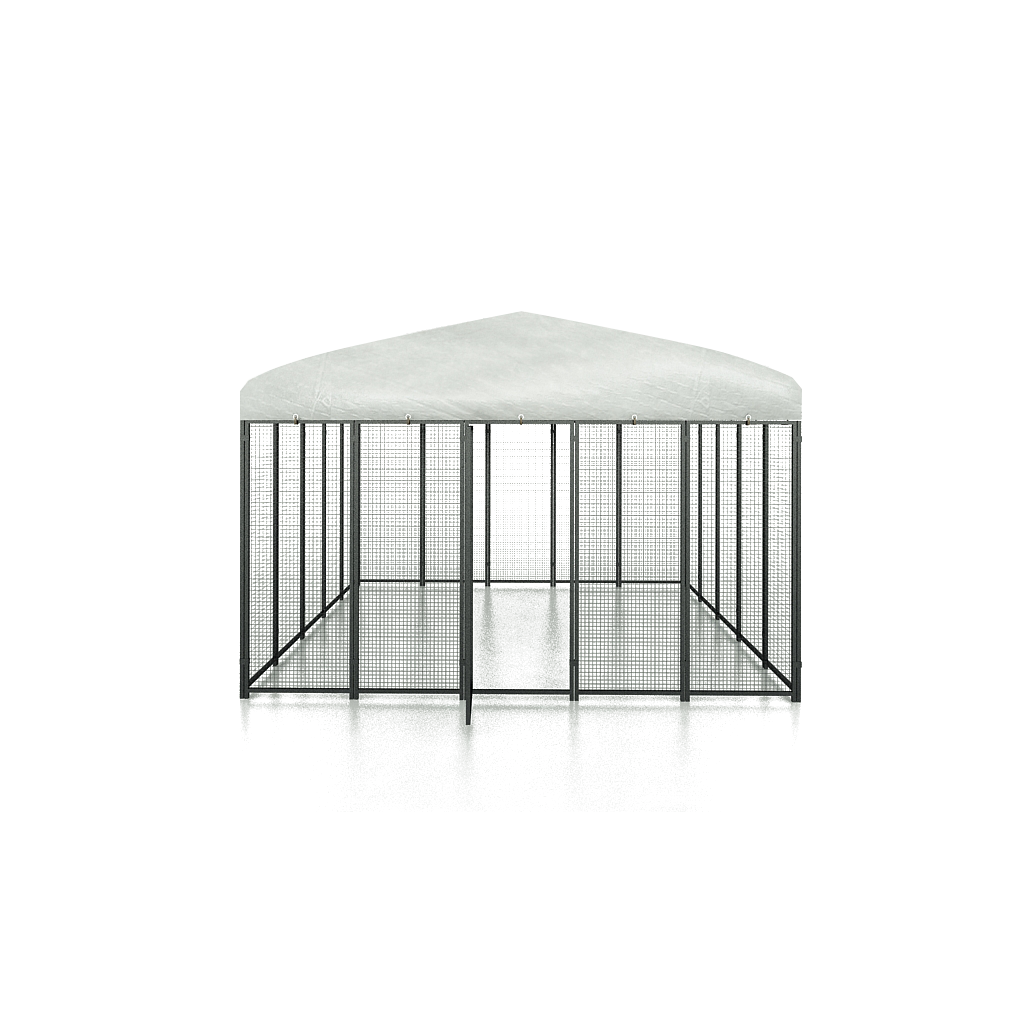 Cucciolotta Polly Run Kippenren