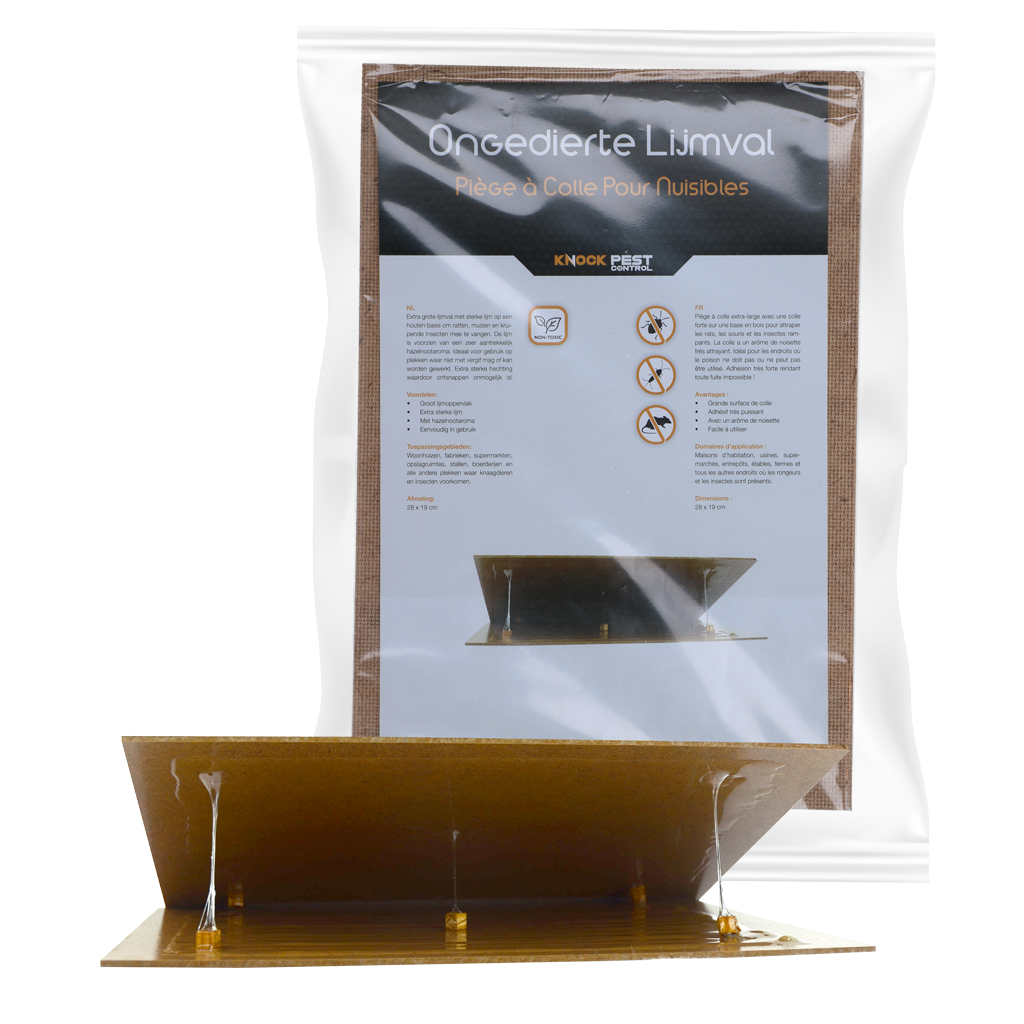 Knock Pest Ongedierte Lijmval