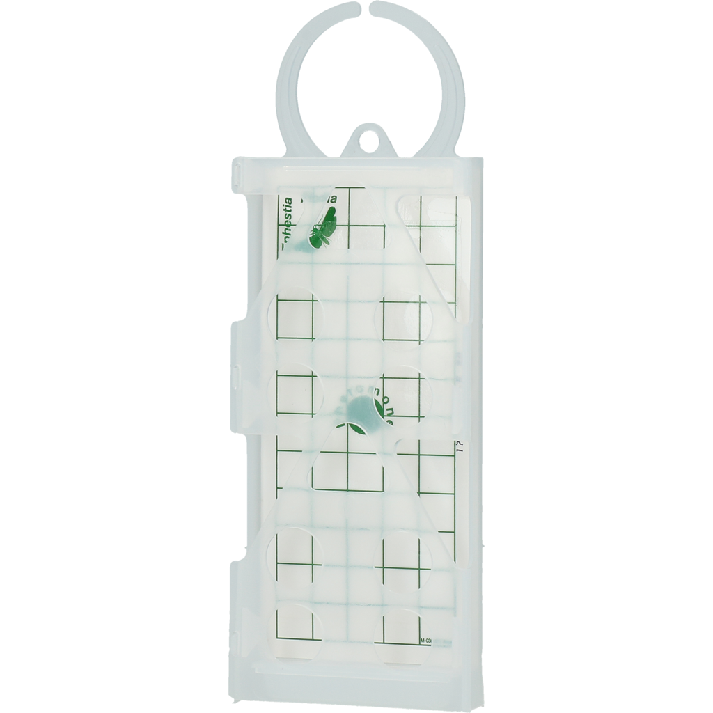 Knock Pest Levensmiddelenmottenval lijm