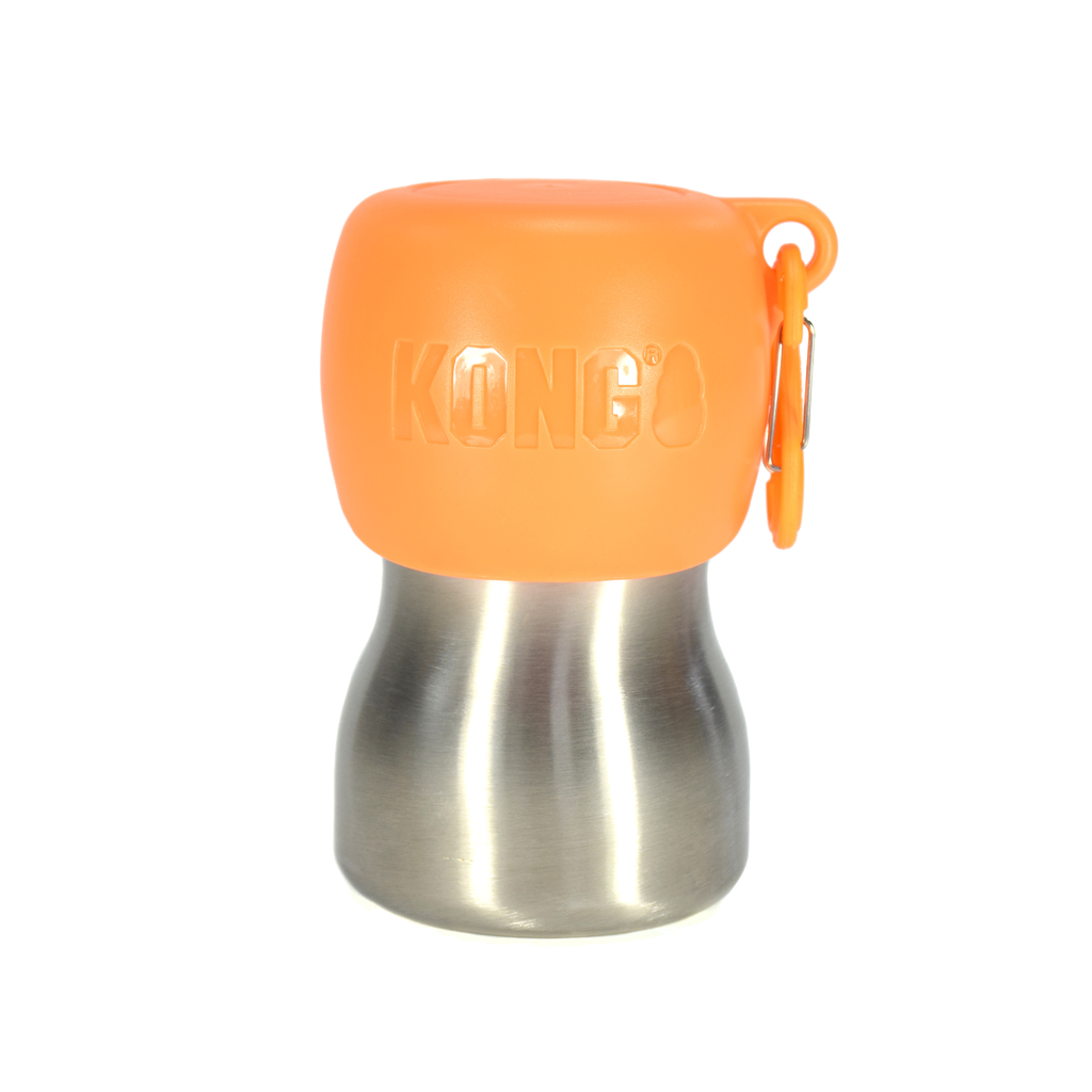 KONG H2O RVS Waterfles