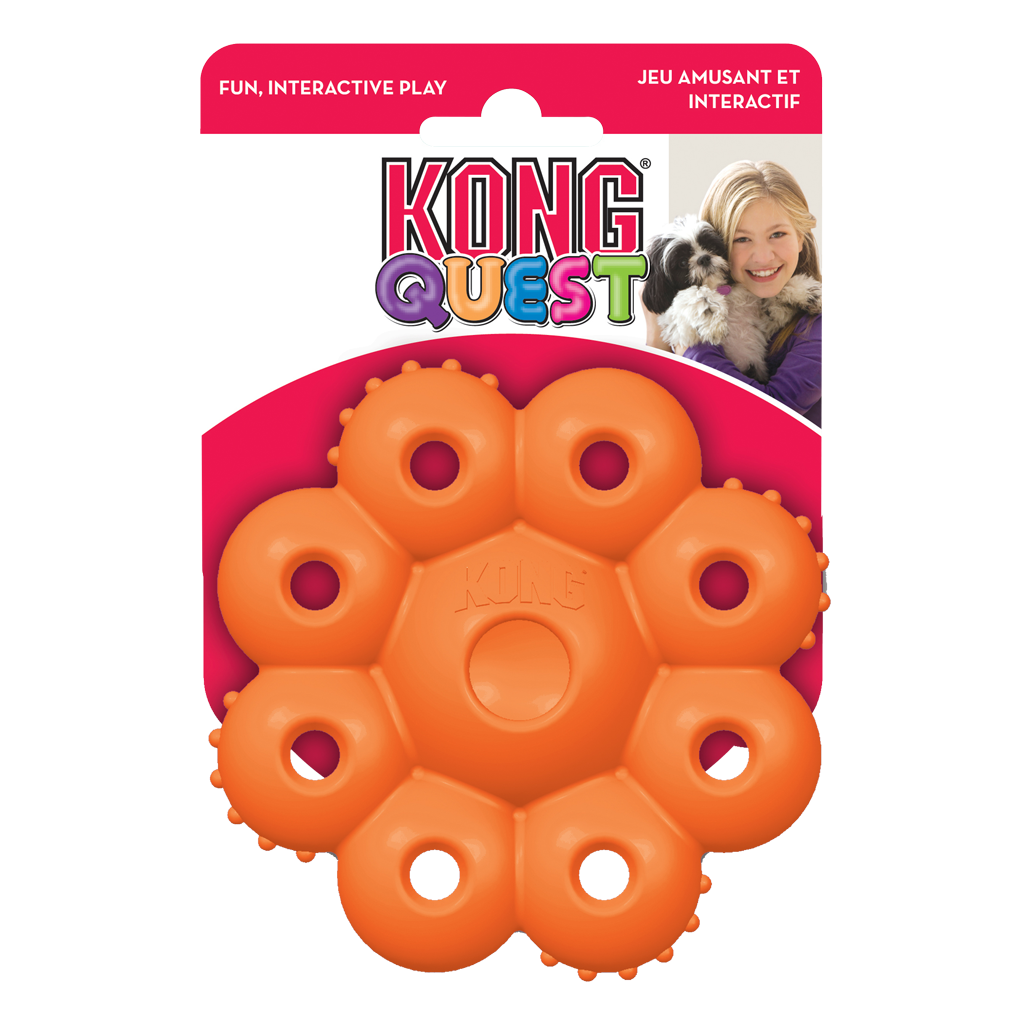 KONG Quest Star Pod