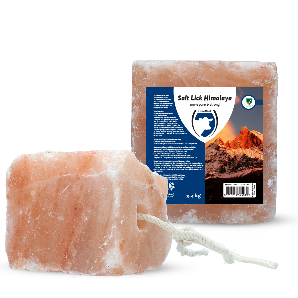 Excellent Liksteen Himalaya (met touw)