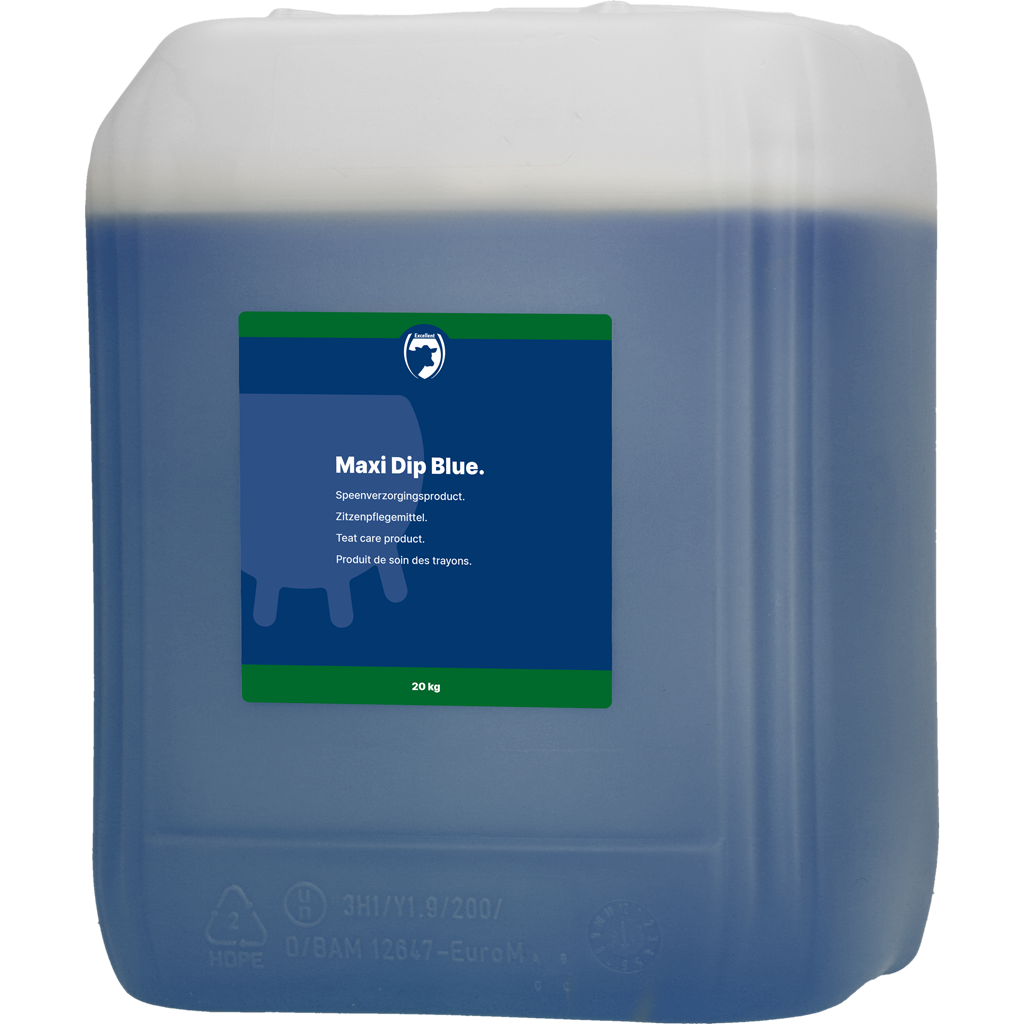 Excellent Maxi Dip Blue