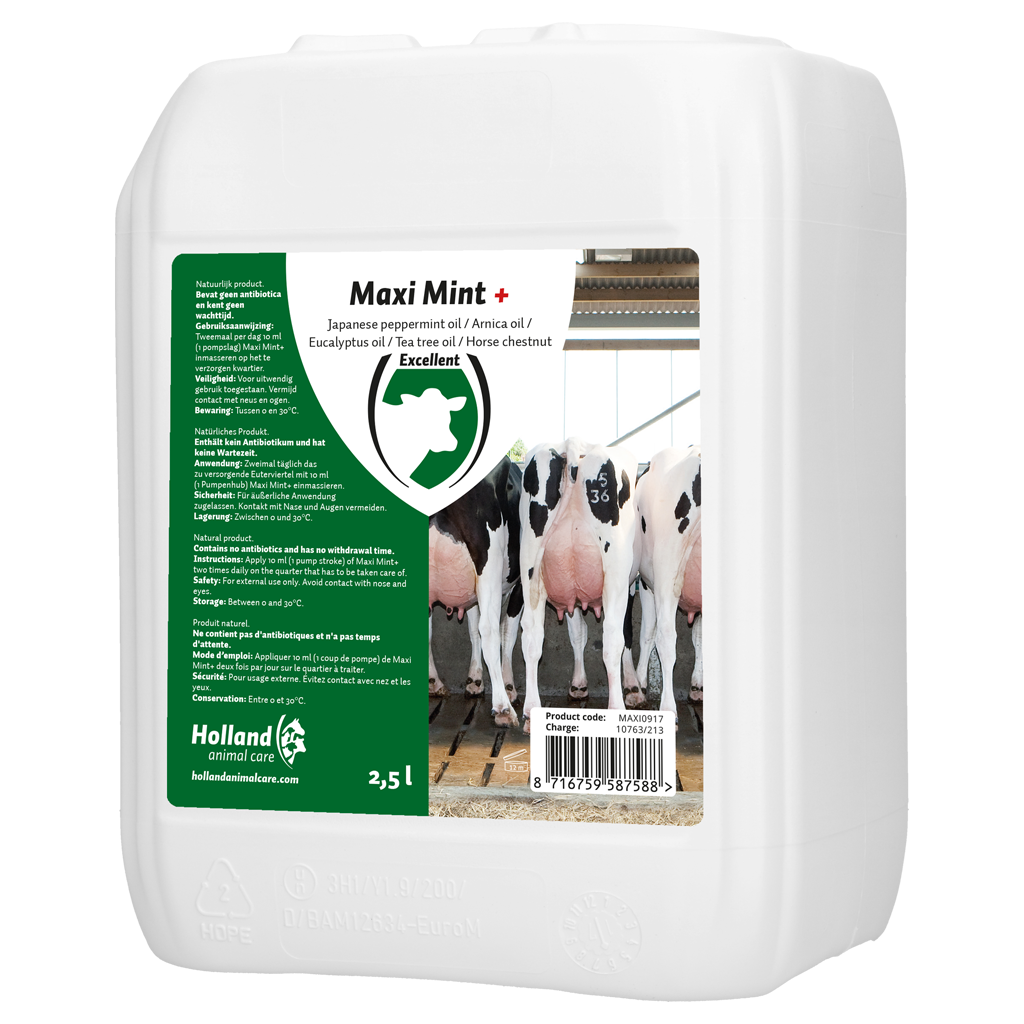 Excellent Maxi Mint+