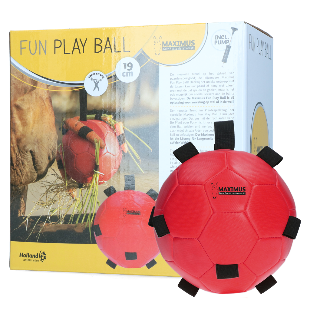 Excellent Horse Fun Play Ball