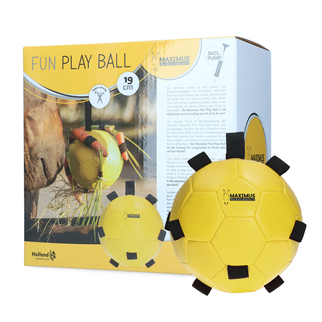 Excellent Horse Fun Play Ball