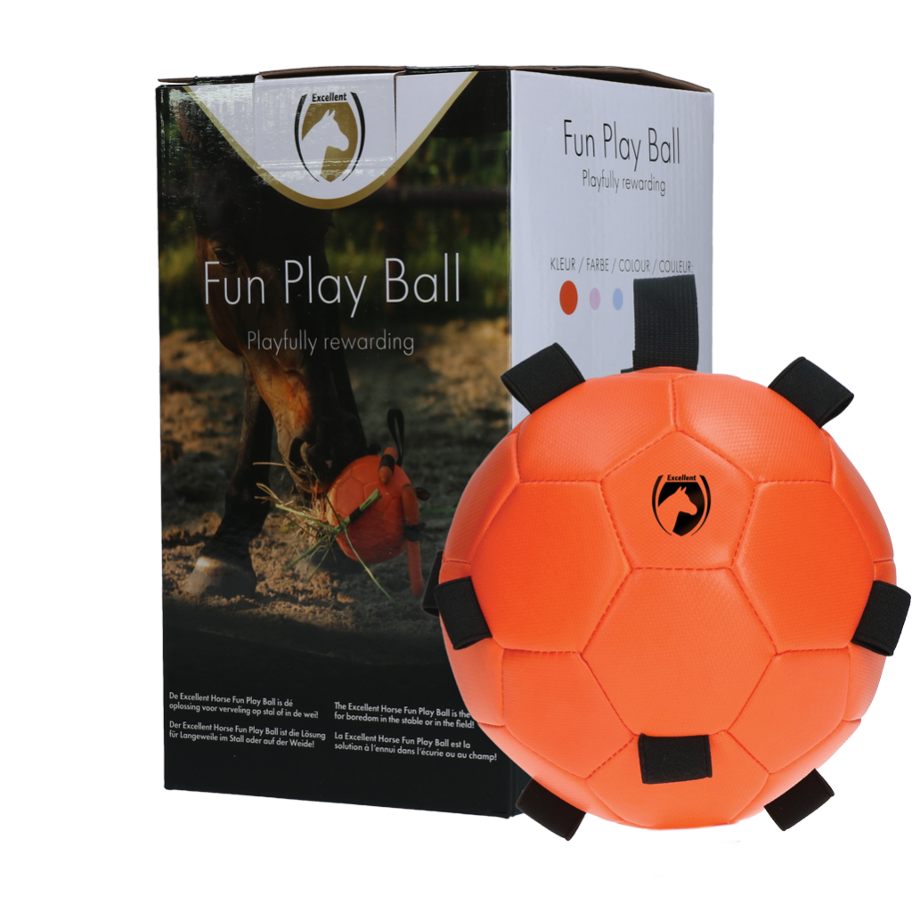 Excellent Horse Fun Play Ball