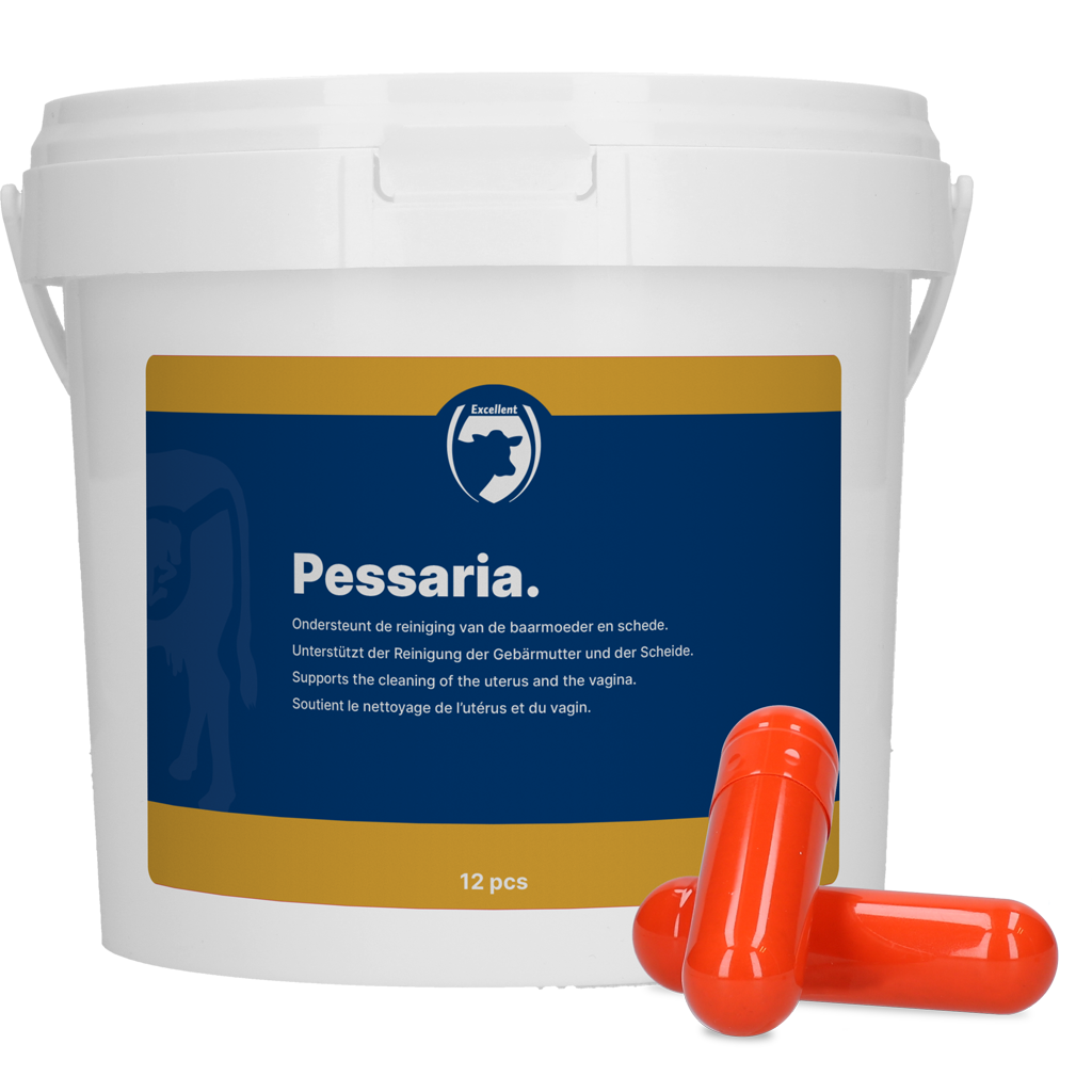Excellent Pessaria Capsule