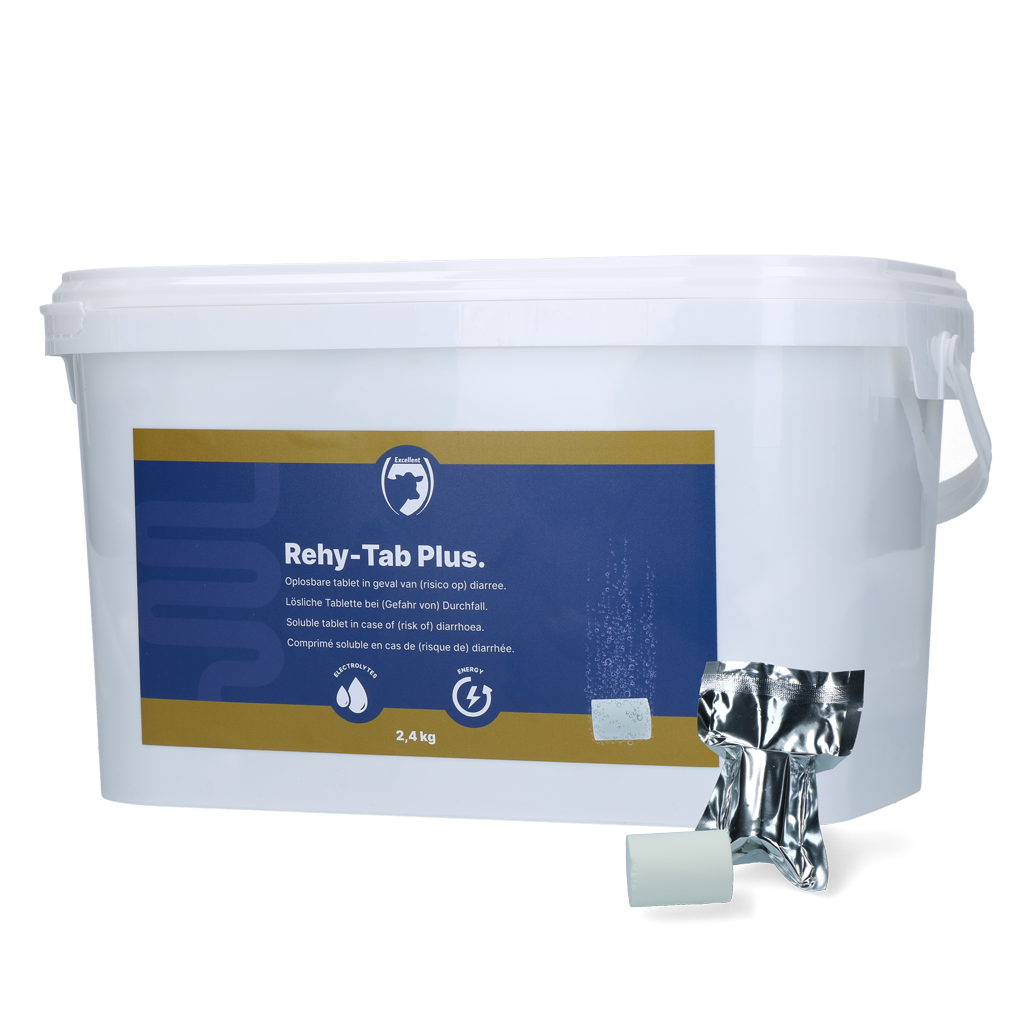 Excellent Rehy-Tab Plus (Bruistablet diarree)
