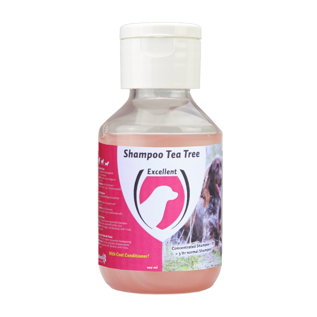Excellent Shampoo Tea Tree