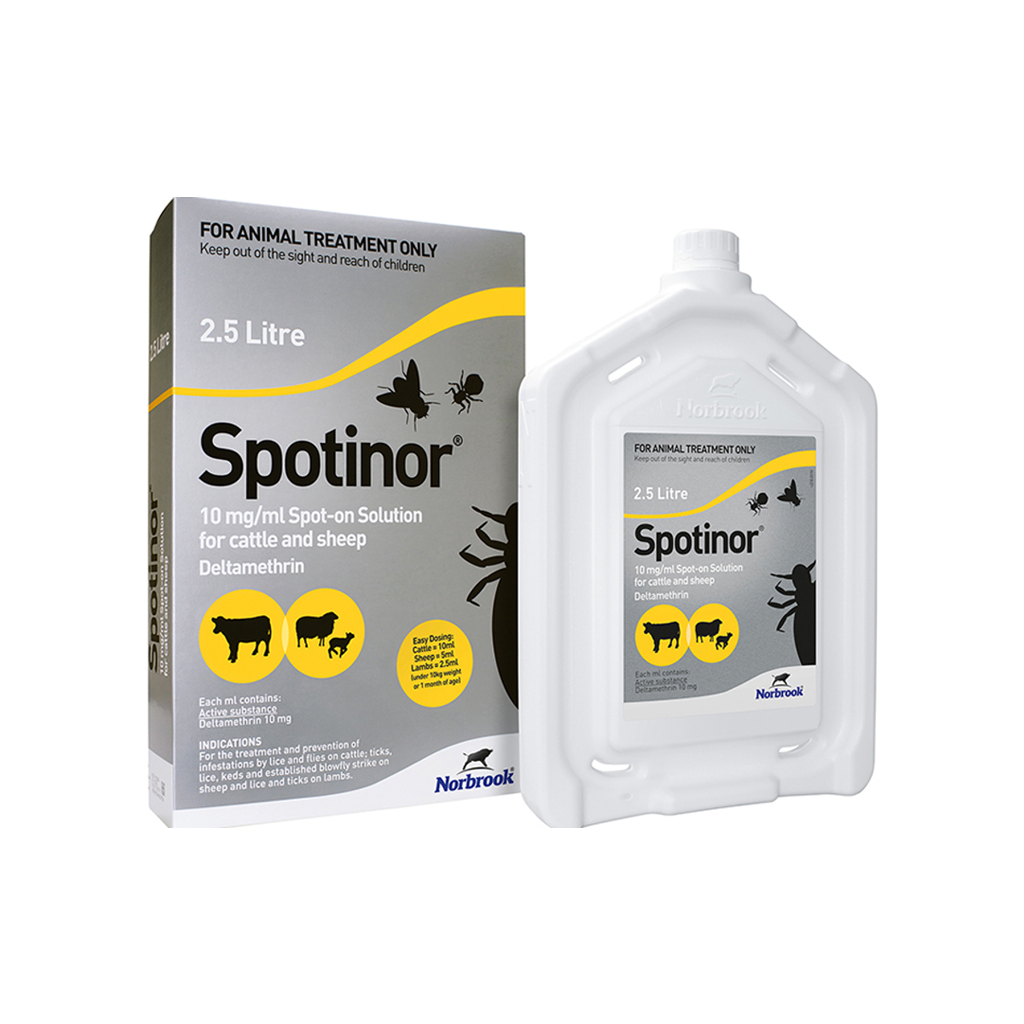 Spotinor 10 mg/ml spot-on REG NL URA
