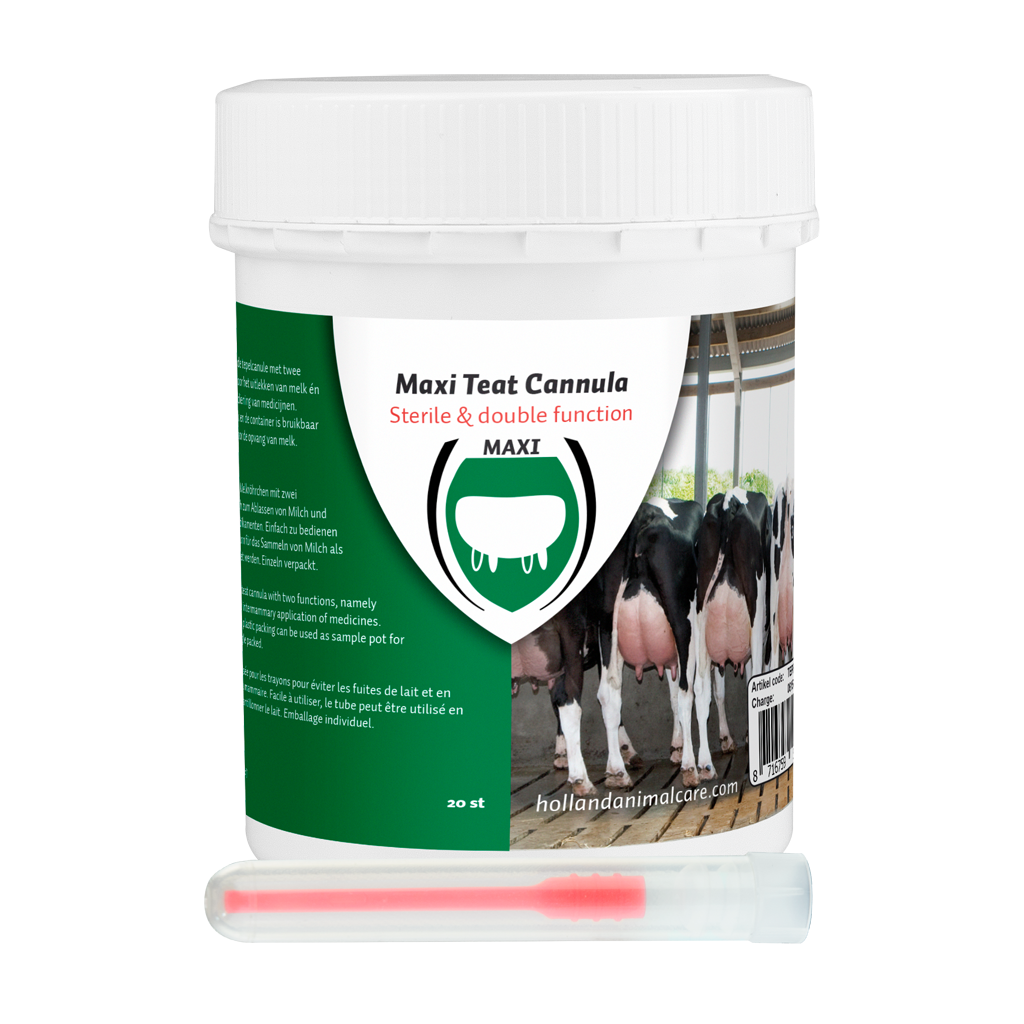 Excellent Maxi Tepelcanule 55 mm