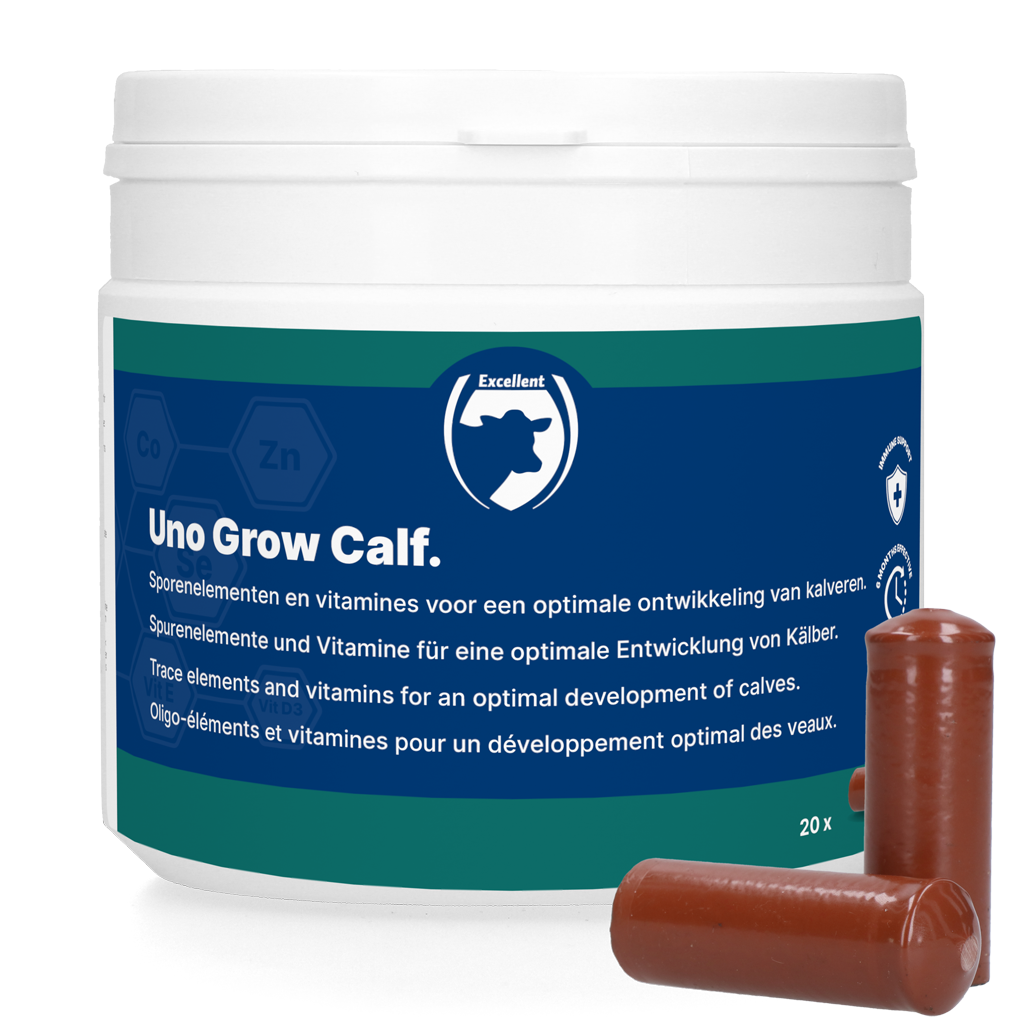 Excellent Uno Grow Calf