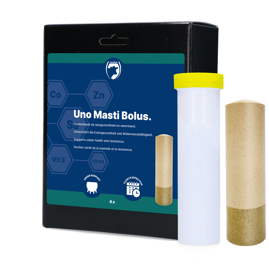 Excellent Uno Masti Bolus