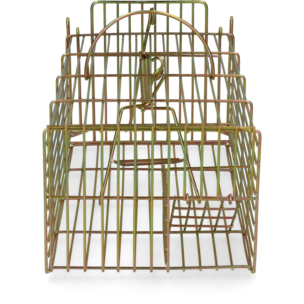 Inloopval rat levend massa