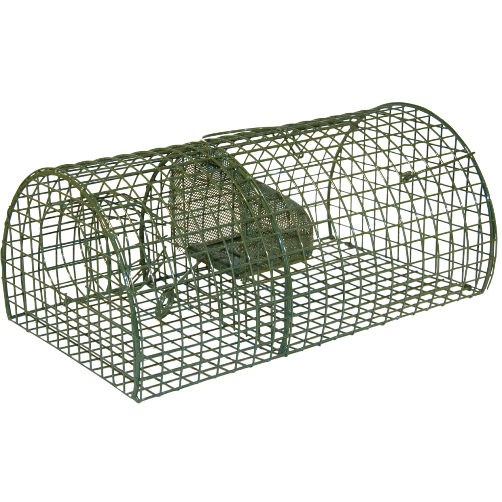 Rattenval inloop levend "Alive" Massa