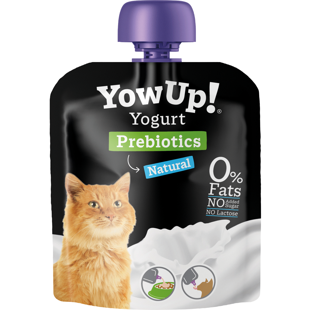 YowUp! Yoghurt Cats