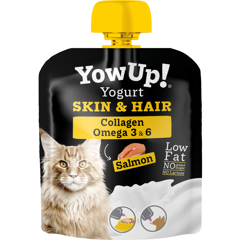 YowUp! Yoghurt Cats