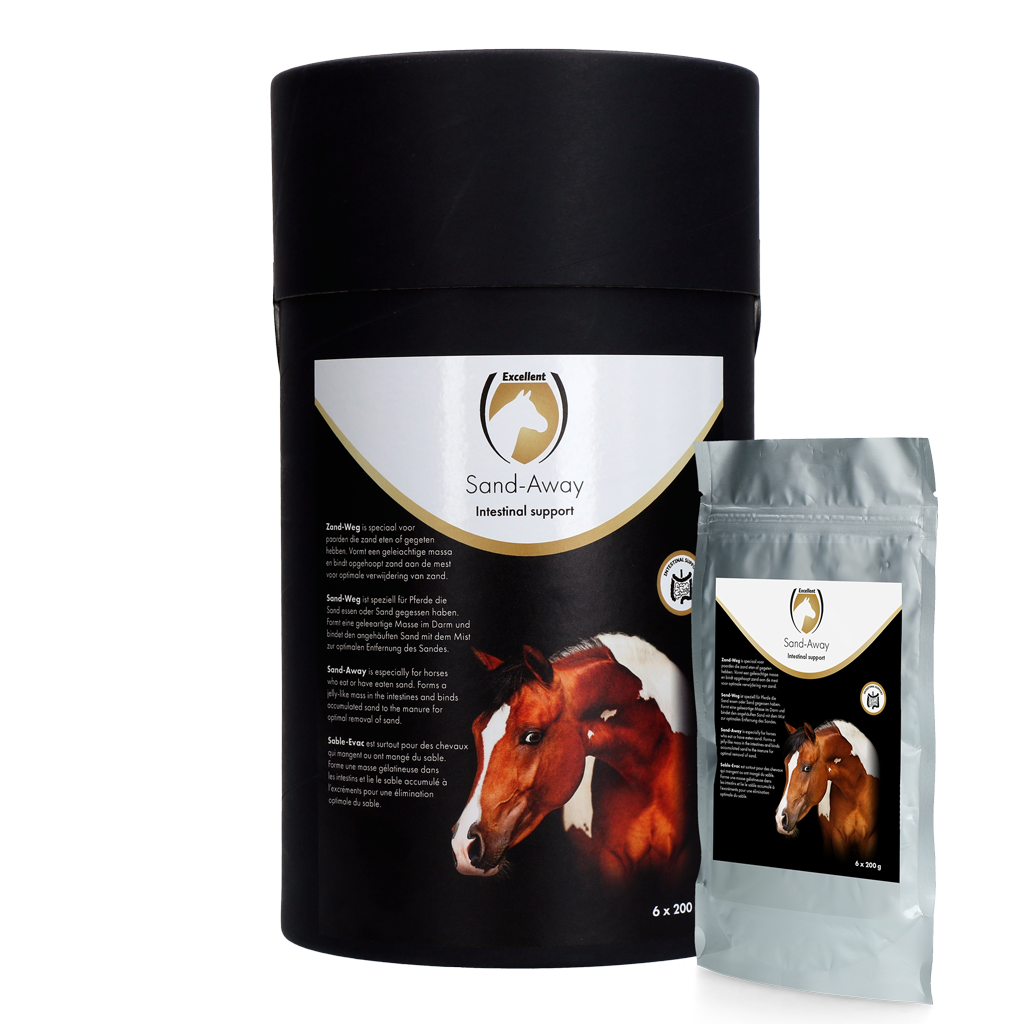 Excellent Horse Sand-Away