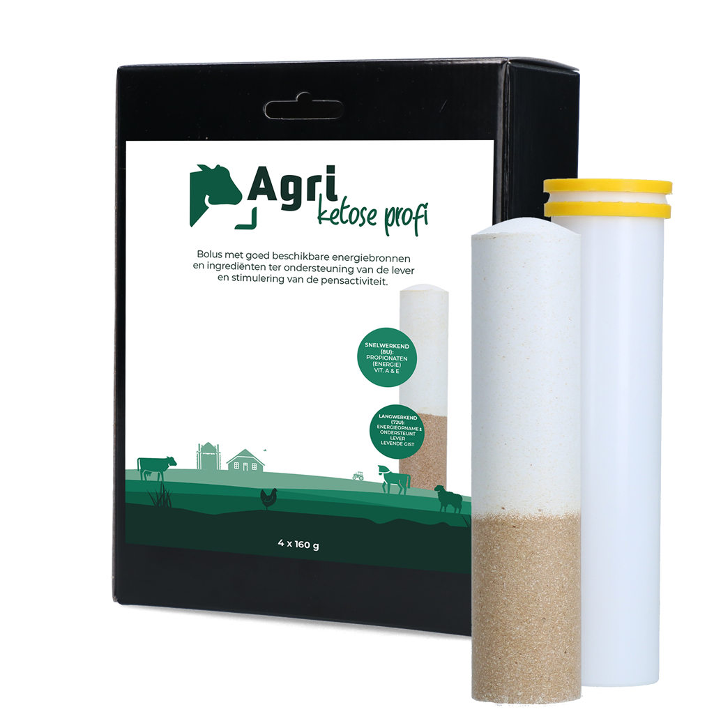 Agri Ketose Profi Bolus LA