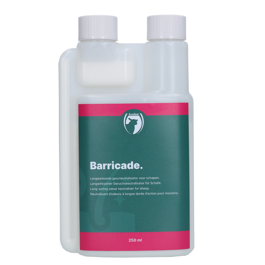 Excellent Barricade Schaap