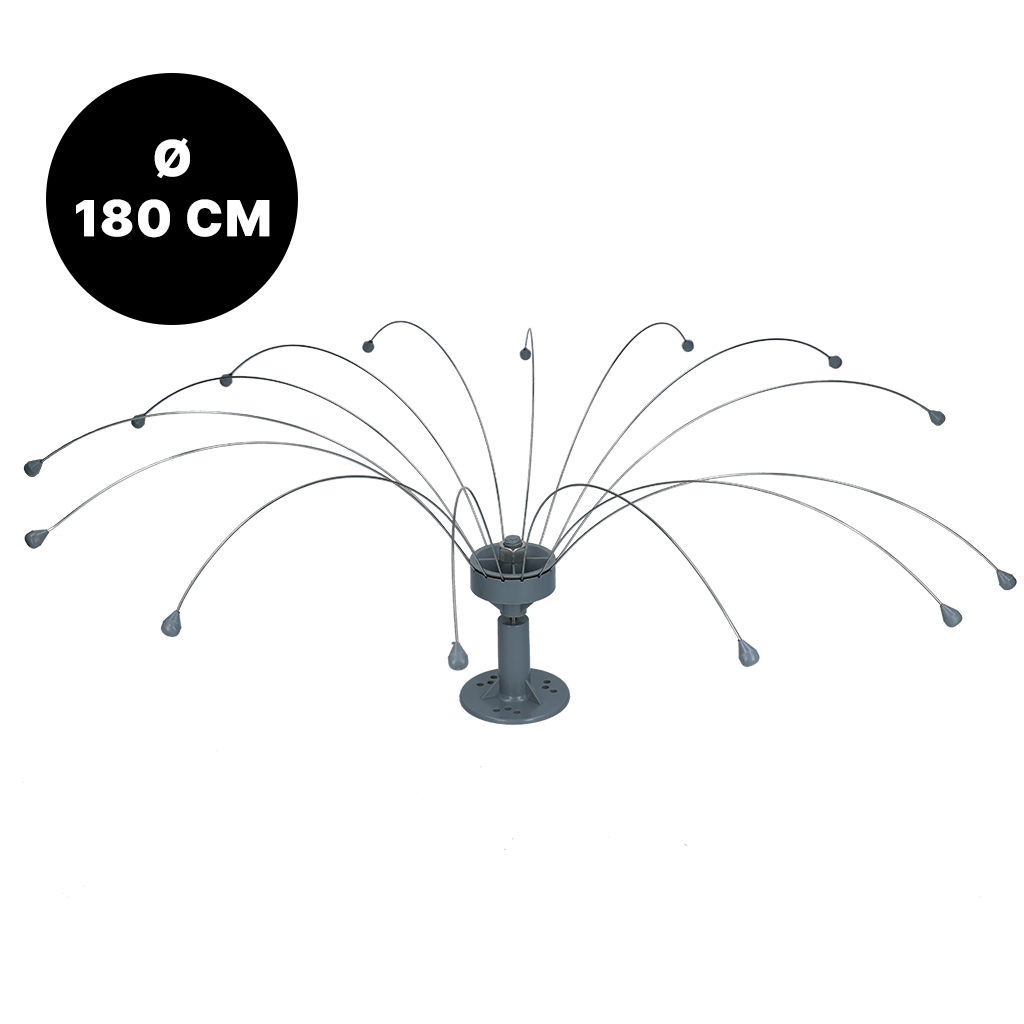 Birdshield Longlegs