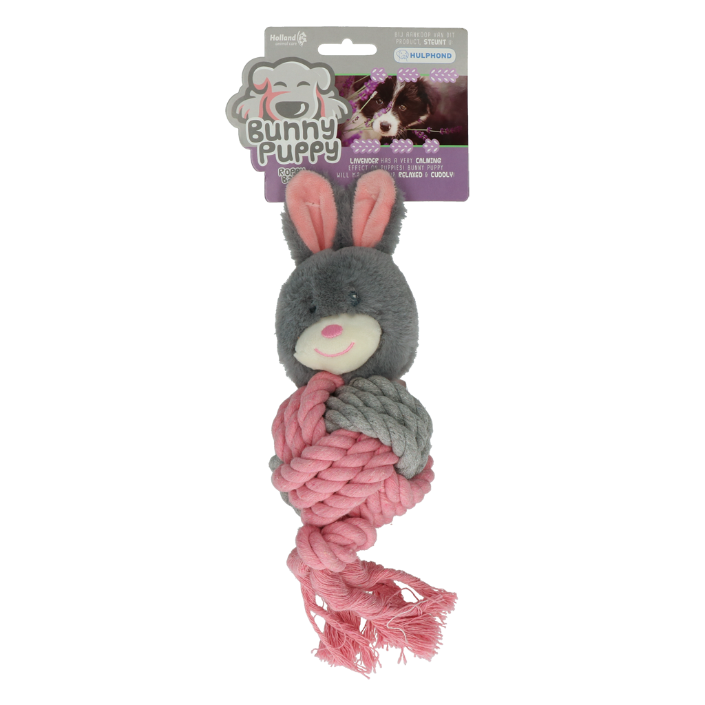 Bunny Puppy