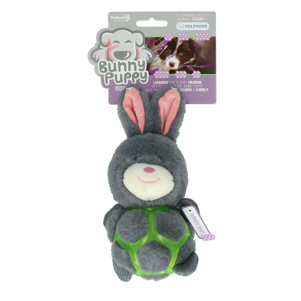 Bunny Puppy