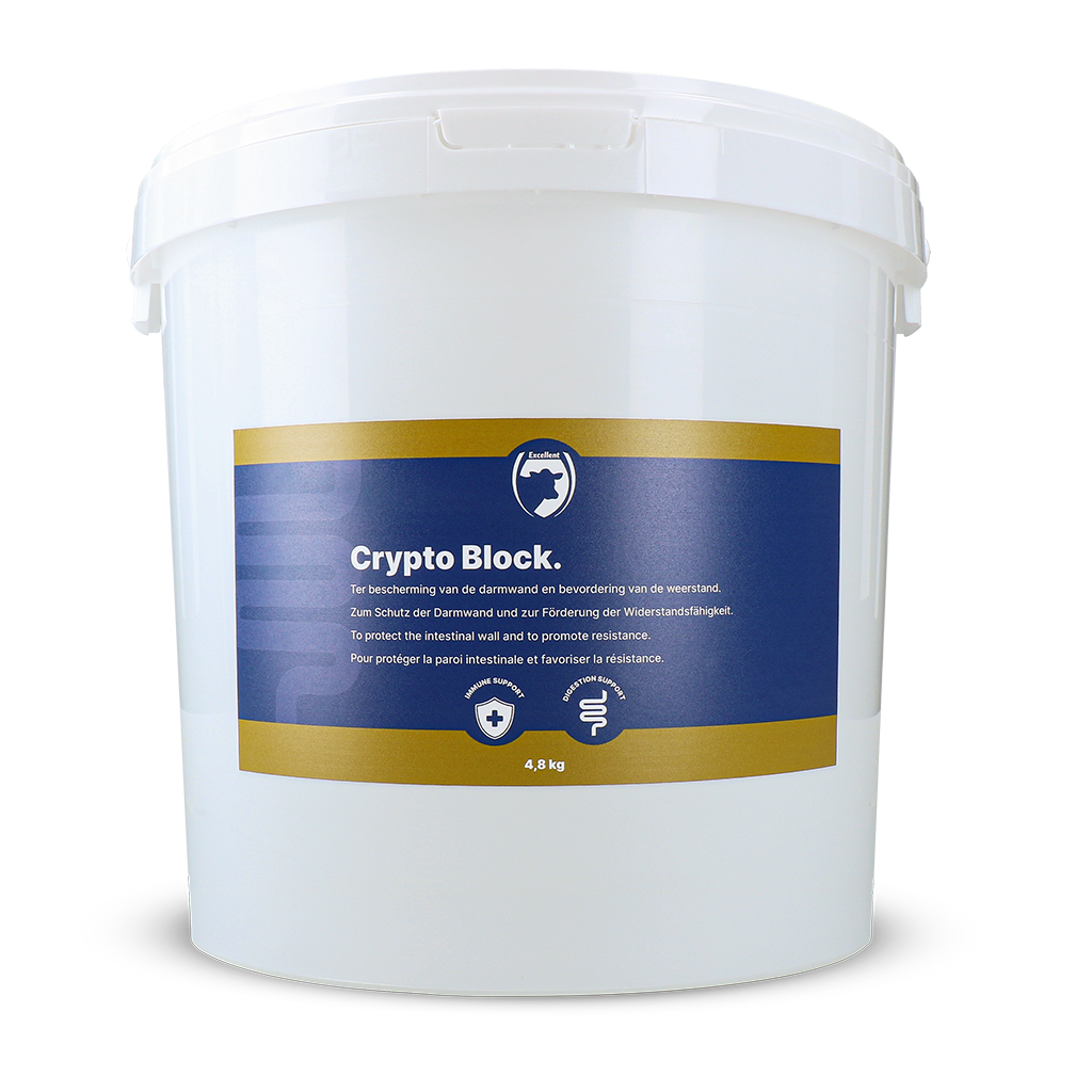 Excellent Crypto Block
